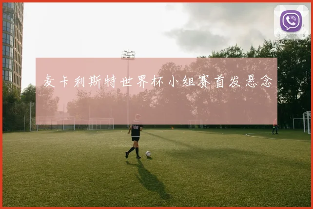 麦卡利斯特世界杯小组赛首发悬念