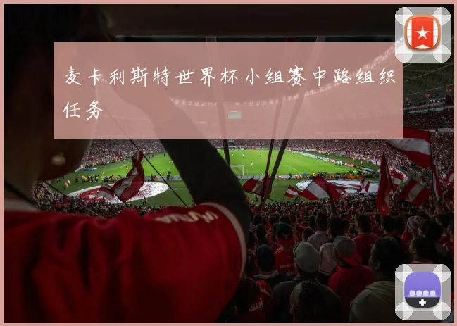 麦卡利斯特世界杯小组赛中路组织任务