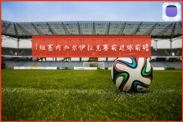 I组塞内加尔伊拉克赛前进球前瞻