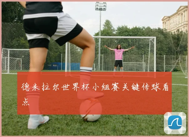 德米拉尔世界杯小组赛关键传球看点